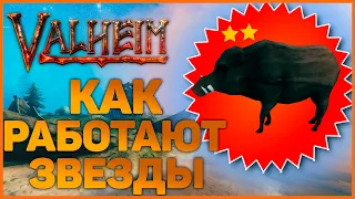 Механика "Звезд" в Valheim (Вальхейм)