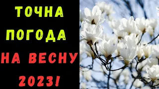 Якою буде погода навесні 2023: прохолодний березень і непостійний травень