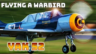 My FIRST WARBIRD! - YAK 52 | Learning to Fly the Yak 52 + Aerobatics! POV & Voice Over