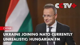 Ukraine Joining NATO Currently Unrealistic: Hungarian FM