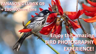Panasonic Lumix G9 + 100-400mm lens: sharing a very special BIRD PHOTOGRAPHY experience!