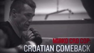 Fight Night Krakow: Croatian Comeback - Mirko Cro Cop