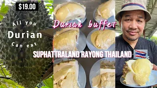 All you can eat Durian buffet at Suphattraland Rayong Thailand บุฟเฟ่ต์ทุเรียน ไม่จำกัดเวลากิน