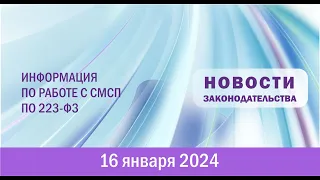 Информация по работе с СМСП по 223-ФЗ