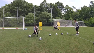 Brilliant Pro Goalkeeper Shot Stopping and Reaction Saves