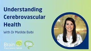 Understanding Cerebrovascular Health - Dr Matilde Balbi