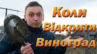 Коли відкривати виноград? Відкриття винограду навесні.