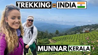 We Went Trekking in INDIA (MUNNAR KERALA is a MUST SEE in India)