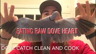 Dove Catch, Clean and Cook | Airgun Hunting For Doves