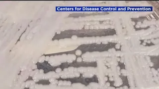 CDC warns of deadly fungus