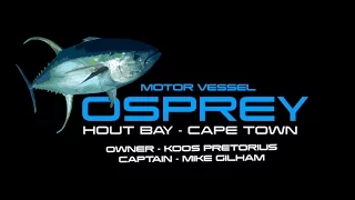 Giant Yellowfin Tuna Fishing, Hout Bay, Cape Town 2017
