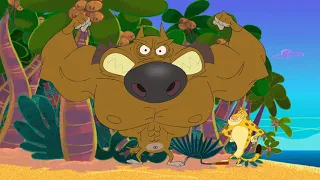 Zig & Sharko 💪 ZIG IS STRONG 💪 2019 Compilation - Full Episodes