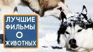 Добрые семейные фильмы о животных