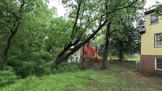 Emergency job- tree was about to destroy this house