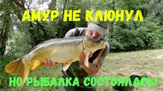 Амур не клюнул, но рыбалка состоялась!