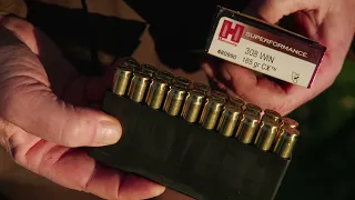 Hornady Superformance CX 308