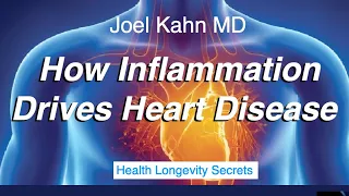 126- How Inflammation Drives Heart Disease