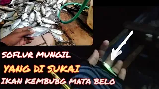 Pesta Strike Ikan Kembung Mata Belo Dengan Tehnik Ajingan || Rangkain Carolina Ring