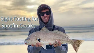 Sight Casting For Spotfin Croaker | Surf Fishing In So Cal