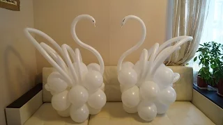 A swan of balls with your own hands. Swan of the balloons with your hands.