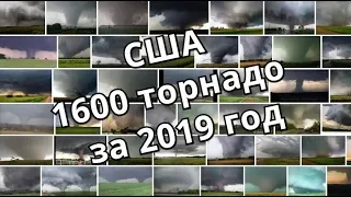 Америка 1600 торнадо за 2019 год реальные кадры