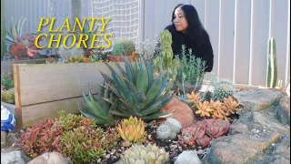 🌵 Planty Chores, Plant Mail Unboxing & Revamping My First Cactus & Succulent Garden Bed