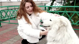 Ольга Пащенко - Самотня зима