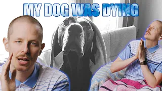 my dog was dying | PROF Snitches on 'Tombstones'