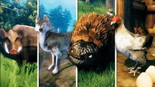 Valheim - The Complete Taming & Breeding Guide! (incl. Chickens)