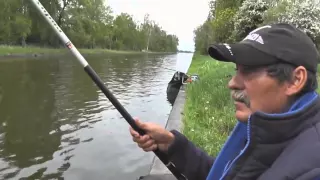 Łowienie batem na Kanale Szymońskim Cz. 2.