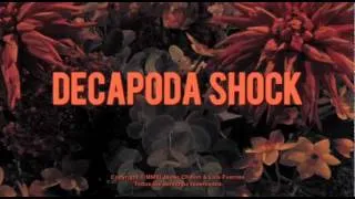 Decapoda Shock: Teaser 2