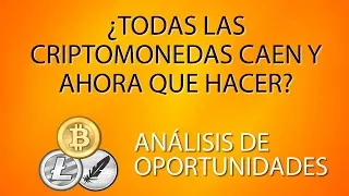 Todas las criptomonedas  caen y ahora que hacer? | análisis de oportunidades