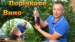 Вино з порічок, смородини червоної. Домашнє плодове вино