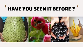 the top 15 exotic fruits in the world you won't believe it exists.