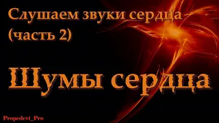 Аускультация сердца. Слушаем звуки сердца (часть 2). Шумы сердца.