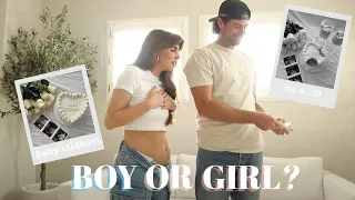 GENDER REVEAL | baby #2 is a...!!!