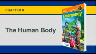 Chapter 6, The Human Body