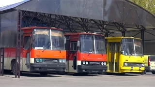 Икарус 256 по цене металлолома - забрали комплектный автобус Ikarus 256 из-под пресса