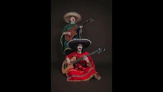 Duo SIESTA - Desperado (cover)