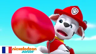 Paw Patrol : la Pat'Patrouille | Galinetta s'envole | NICKELODEON JUNIOR