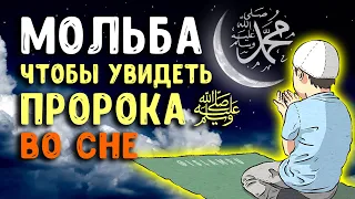 Молитва, чтобы увидеть Пророка ﷺ во сне