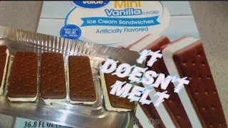 DO WALMART ICE CREAM SANDWICHES MELT?  LET'S PUT THEM IN THE OVEN!