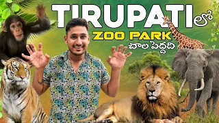 Tirupati Zoo Park ఇంత పెద్దదా 😱|| Sri Venkateswara Zoological Park Tirupati
