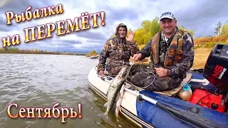 р. Чулым! Рыбалка на Перемет- Ловля на Живца! Хороший Улов!