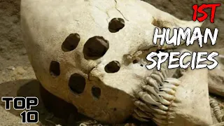 Top 10 Strangest Skulls Ever Discovered