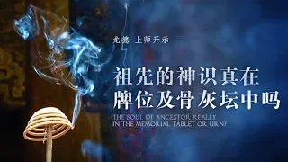 龙德上师：祖先的神识真在牌位及骨灰中吗