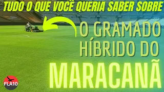 MARACANÃ PRONTO 2022 | GRAMA HÍBRIDA | O QUE É, E COMO É FEITA