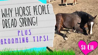 HOW TO BRUSH A HORSE | WHY EQUESTRIANS HATE SPRING!