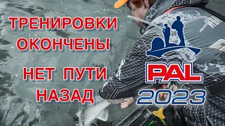 PAL 2023. Тренировки окончены. Нет пути назад.