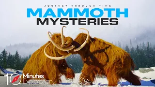 The Mammoth | Mysteries Unveiled | 10Minutes Exploration